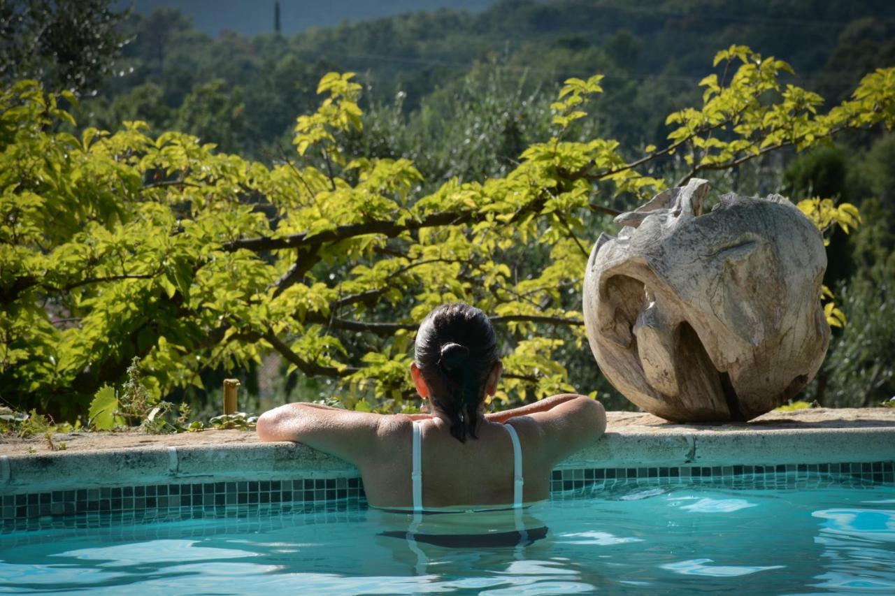 Domaine Des Tilleuls D'Or Saint-Cezaire-sur-Siagne Екстер'єр фото