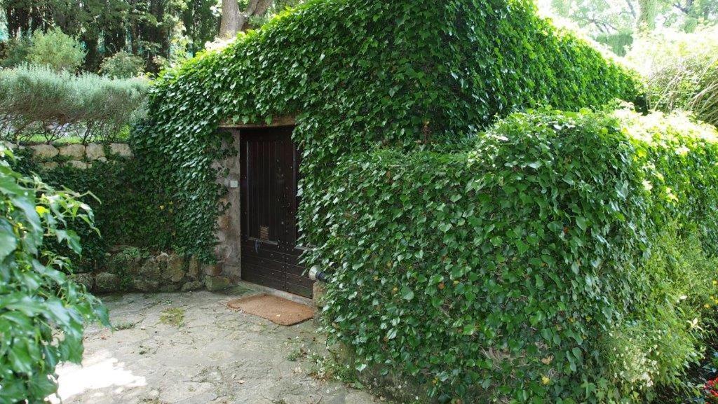 Domaine Des Tilleuls D'Or Saint-Cezaire-sur-Siagne Екстер'єр фото